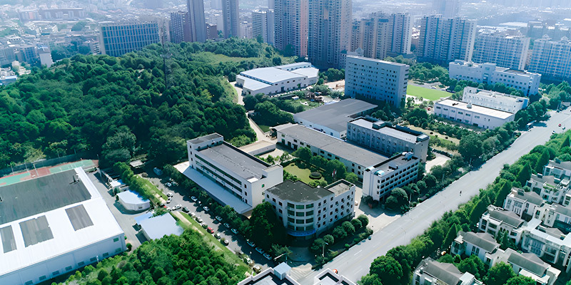 Company Introduction